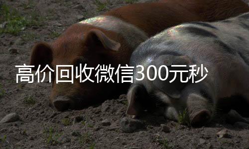 高价回收微信3024小时收vx秒结0元秒结（高价24小时回收微信）